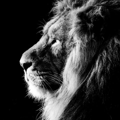 Ренат Османов, Иваново