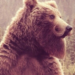 Тимур Зайнутдинов, 01.05.1991, Казань