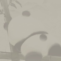 Наиля Хисамиева, 15.01.1983, Всеволожск