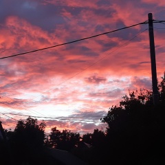 Алюша Алюшка, 29.09, Санкт-Петербург