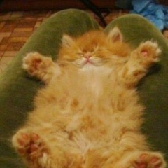 Максим Михальчук, 24.03.1979, Санкт-Петербург