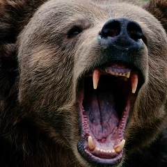 Евгений Северюхин, Омск