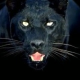 Элара Язитова, 08.09, Атырау