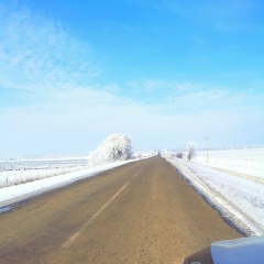Боря Светлый, 28.11