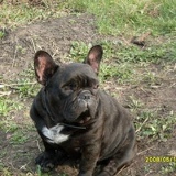 Александр Скворцов, 15.09.1987, Курган