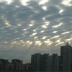 Даниил Кадолба, 19.04.1994, Санкт-Петербург