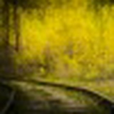 Dmitry Zaitsev, 24.07, Новосибирск