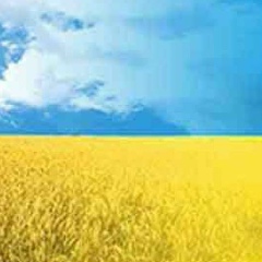 Дмитрий Черняев