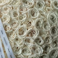 Жансая Канапиева, 17.12.1994, Москва