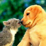 Евгений Щукин, 23.01, Санкт-Петербург