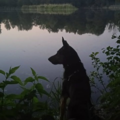 Елена Рудь, 24.12.1975, Калининград