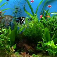 Михаил Сердюков, 29.01, Луганск