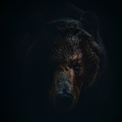 Михаил Куртанов, Подольск