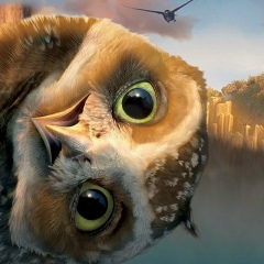 Дмитрий Шевченко, 10.02, Москва