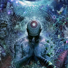 Илья Яковлев, 08.01, Москва