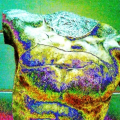 Нестор Шейкин, 20.01.1985