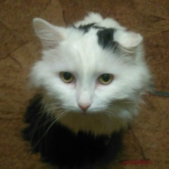 Илья Кириллов, 13.06.1978, Пермь