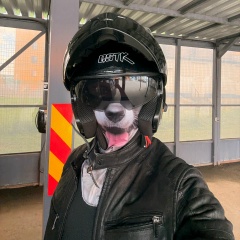 Анатолий Мартынов