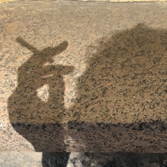 Albina Lisakovich, 23.02.1987, Москва