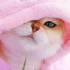 Елена Ильина, 30.04, Новосибирск