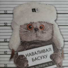 Герман Перминов, 27.12.1984, Санкт-Петербург