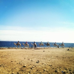 Анастасия Дмитриева, 17.12, Москва