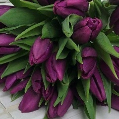 Юлия Федорова, 18.03, Миньяр