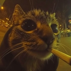 Дима Шевченко, 29.11