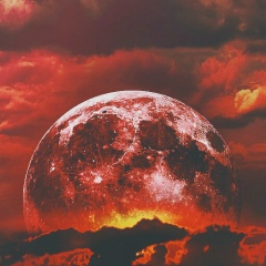 Alibek Gafarov, 21.08, Шардара