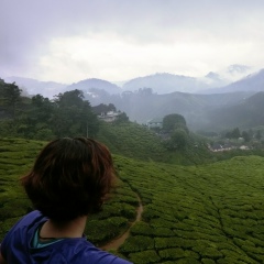 Алина Уваева, 25.12, Санкт-Петербург