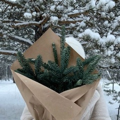 Алёна Сафина
