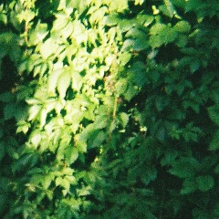 Дарья Сердюкова, 10.07.1997, Москва