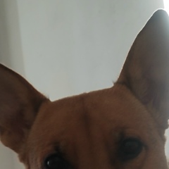 София Зайцева, Санкт-Петербург