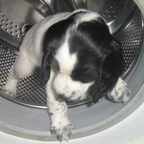 Танюшка Пода, 21.11