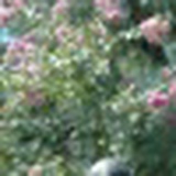 Сергей Кузьмин