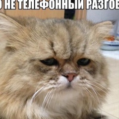 Иван Лялин, 15.09.1985, Санкт-Петербург