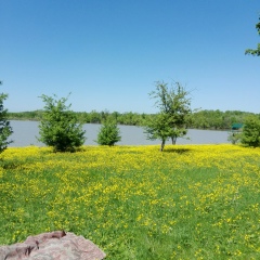 Ольга Забегайло, 07.08, Краснодар