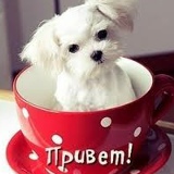 Жазик Бакытжановна, 21.03.1983, Алматы