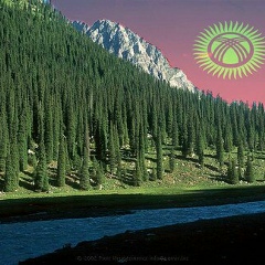 Kunduz Orunbaevna
