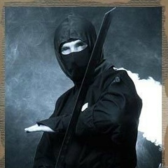 Андрей Евгеньевич, Видное
