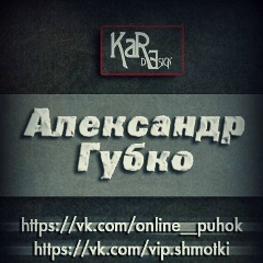 Александр Губко, Чернигов