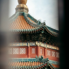 Анна П, Beijing