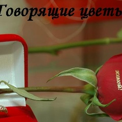 Вера Николаева, 14.09, Минусинск