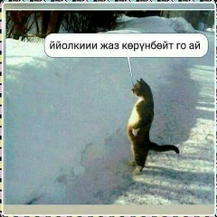 Уларбек Амирбеков