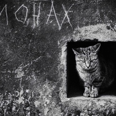Иван Кальной, 26.07.1984, Барнаул