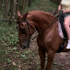 Ольга И, 27.05