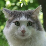 Макс Кулигин, 23.07, Kingston