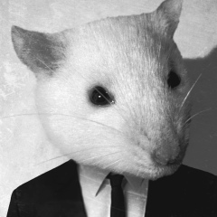 John Doe