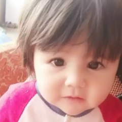 Daler Polvanov, 12.11, Канибадам