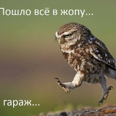 Денис Седов, 05.12, Санкт-Петербург